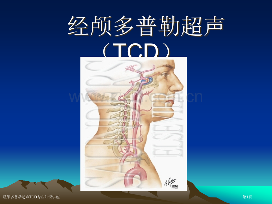 经颅多普勒超声TCD专业知识讲座.pptx_第1页