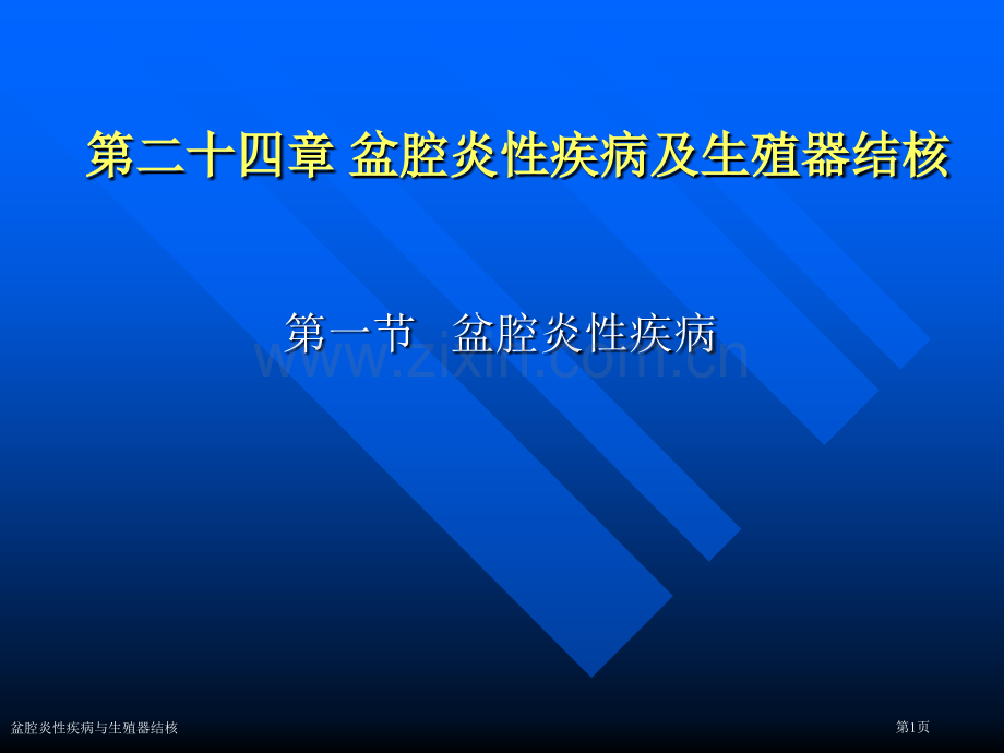 盆腔炎性疾病与生殖器结核专家讲座.pptx_第1页