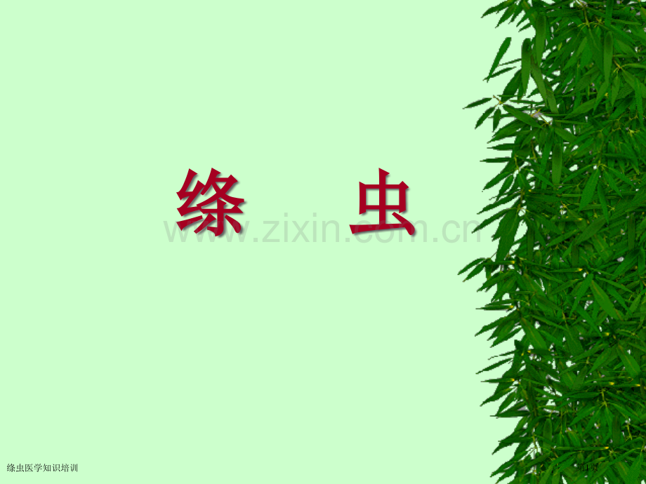 绦虫医学知识培训专家讲座.pptx_第1页