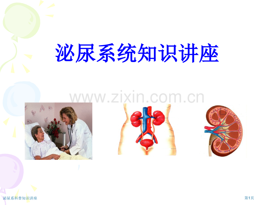 泌尿系科普知识讲座.pptx_第1页