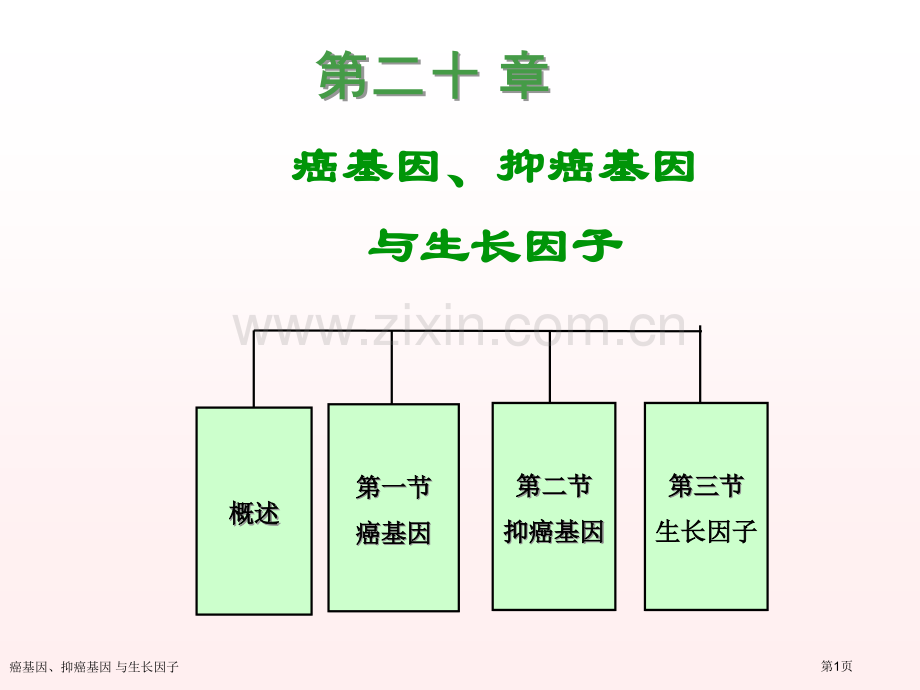 癌基因、抑癌基因-与生长因子专家讲座.pptx_第1页
