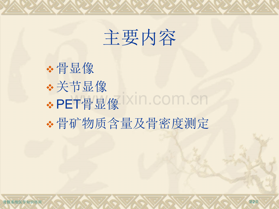 骨骼系统医学知识培训专家讲座.pptx_第2页
