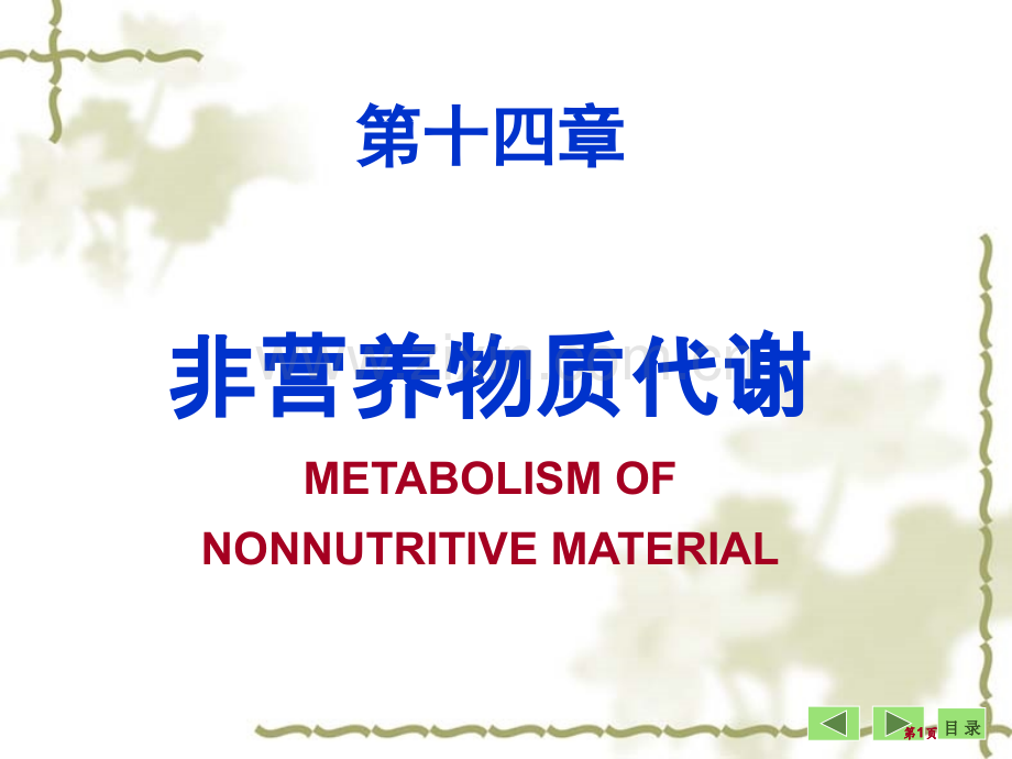 生物化学与分子生物学八课件5市公开课金奖市赛课一等奖课件.pptx_第1页