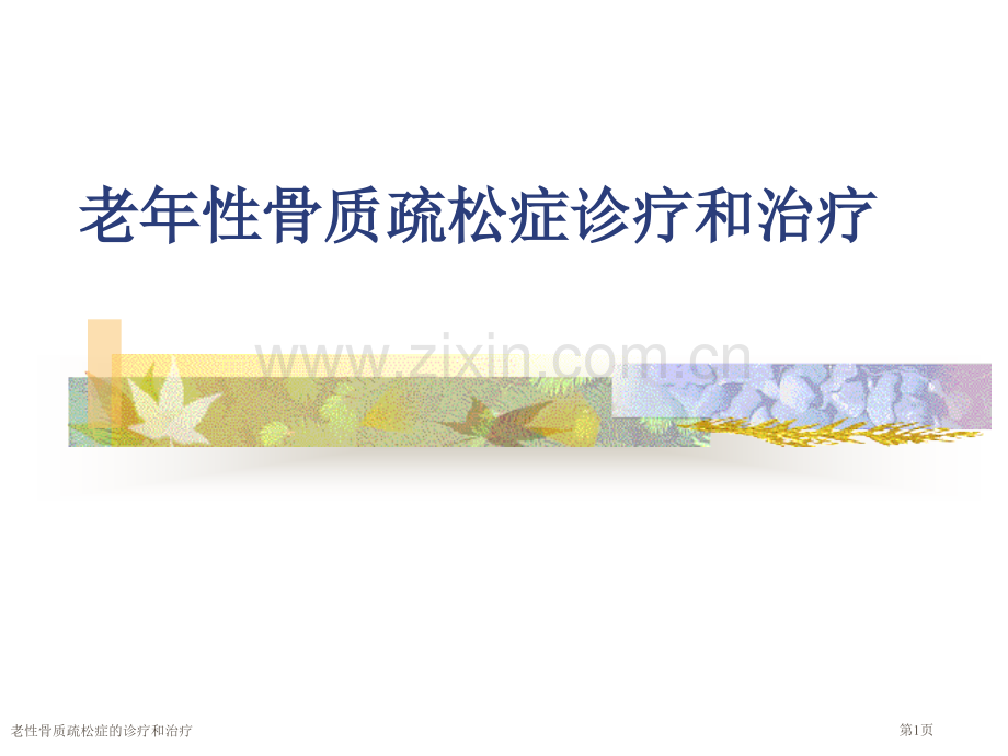 老性骨质疏松症的诊疗和治疗专家讲座.pptx_第1页