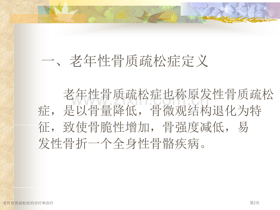 老性骨质疏松症的诊疗和治疗专家讲座.pptx_第2页