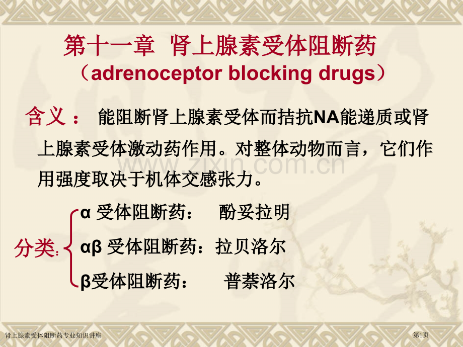 肾上腺素受体阻断药专业知识讲座专家讲座.pptx_第1页