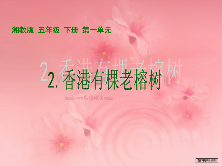 湘教版五年级上册香港有棵老榕树课件1市公开课金奖市赛课一等奖课件.pptx_第1页