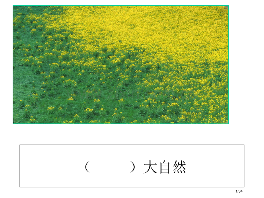 植物妈妈有办法01市名师优质课赛课一等奖市公开课获奖课件.pptx_第1页