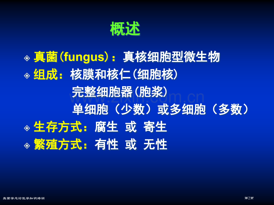 真菌学总论医学知识培训专家讲座.pptx_第2页