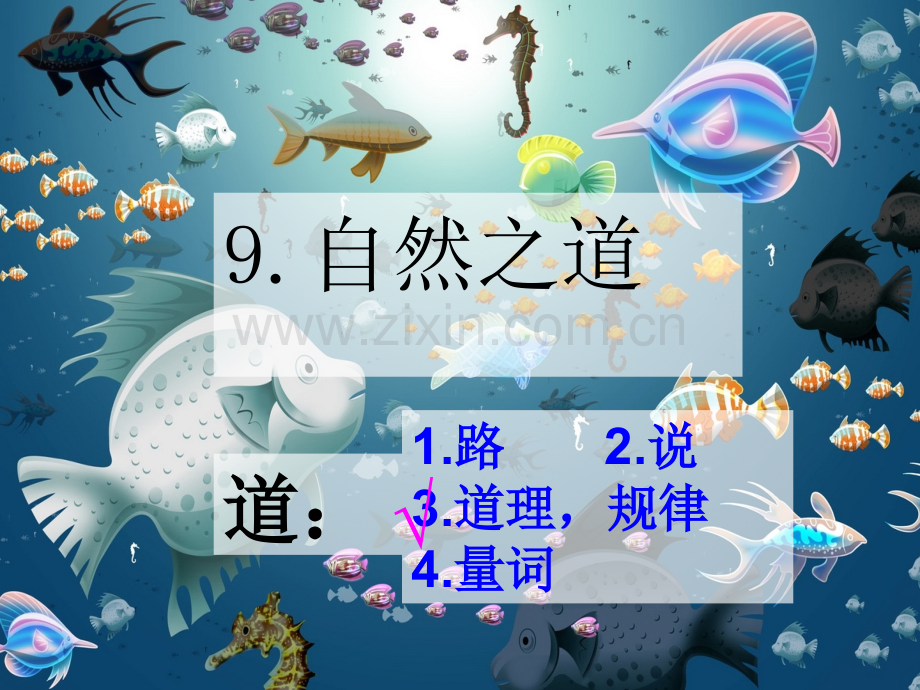 9自然之道完美版精.pptx_第1页