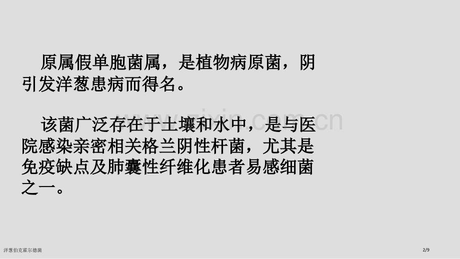 洋葱伯克霍尔德菌.pptx_第2页