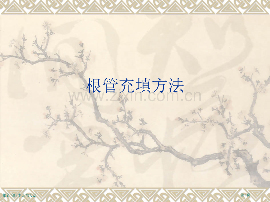 根管治疗术充填方法.pptx_第1页