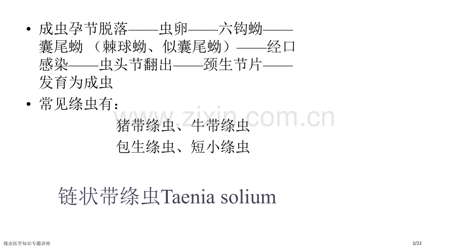 绦虫医学知识专题讲座.pptx_第2页