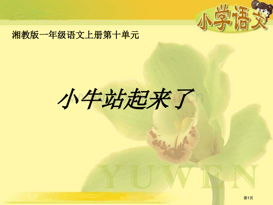 湘教版一年级上册小牛站起来了课件市公开课金奖市赛课一等奖课件.pptx_第1页