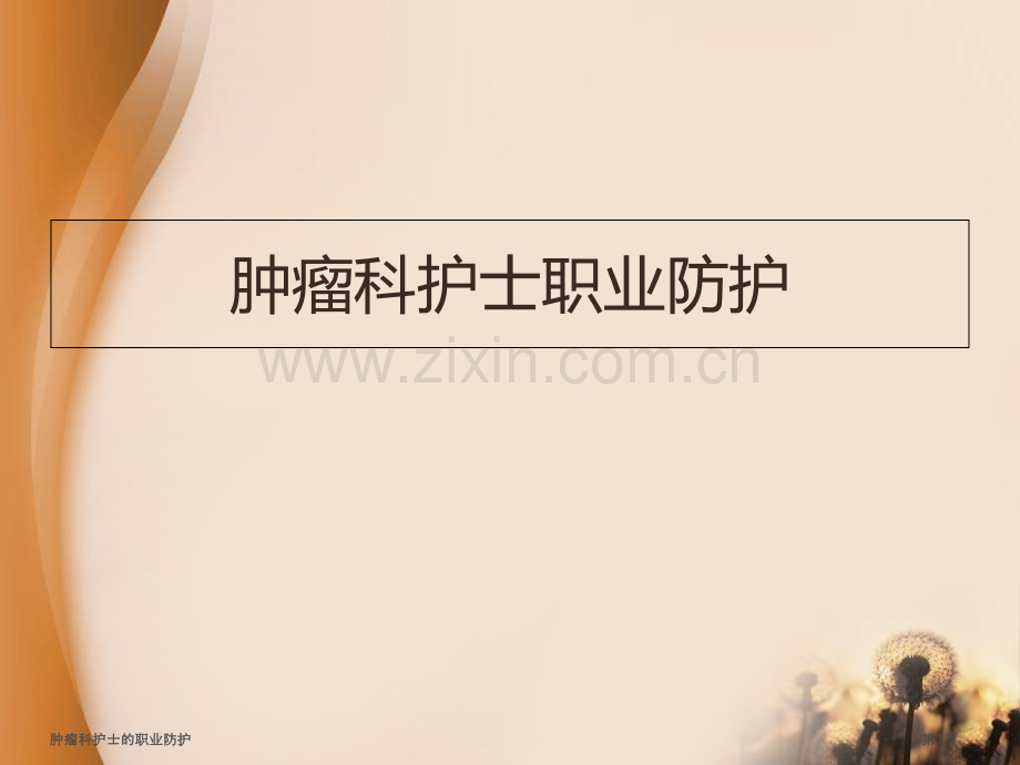 肿瘤科护士的职业防护专家讲座.pptx_第1页