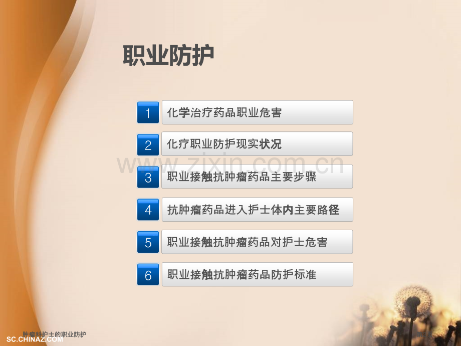 肿瘤科护士的职业防护专家讲座.pptx_第2页