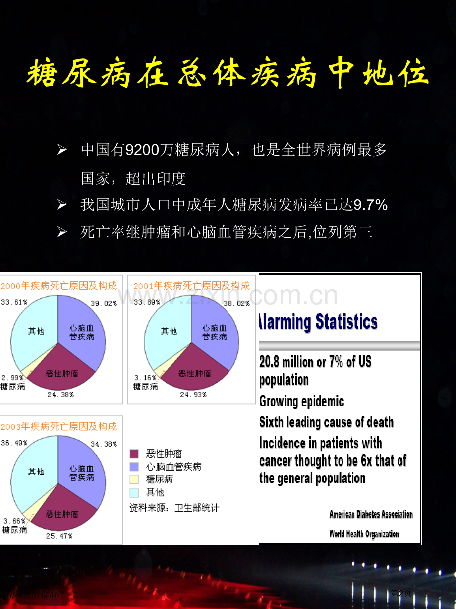 糖尿病膳食治疗专家讲座.pptx_第2页