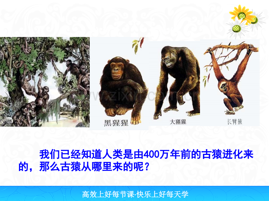 2016春济南版生物八下511生命的起源.pptx_第1页