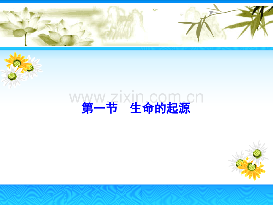 2016春济南版生物八下511生命的起源.pptx_第2页