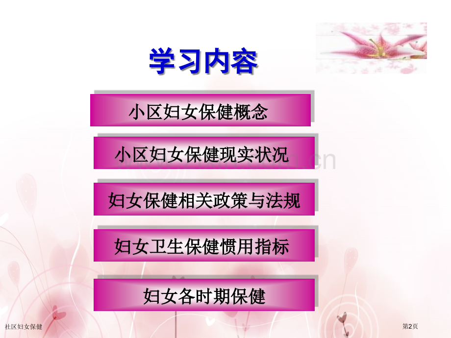 社区妇女保健.pptx_第2页