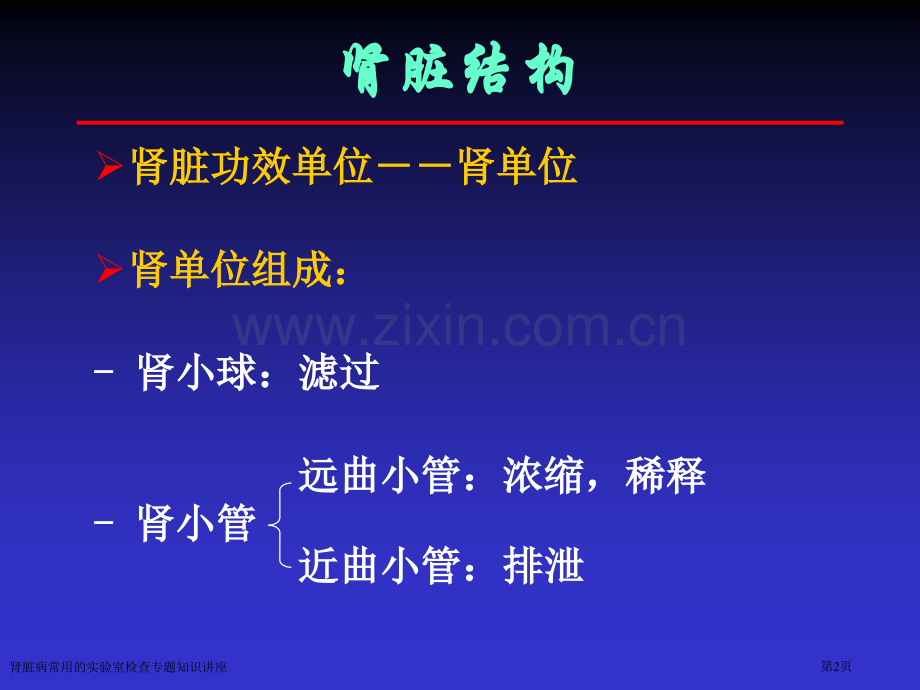 肾脏病常用的实验室检查专题知识讲座专家讲座.pptx_第2页