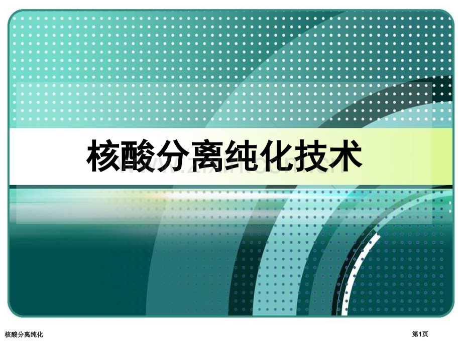 核酸分离纯化专家讲座.pptx_第1页