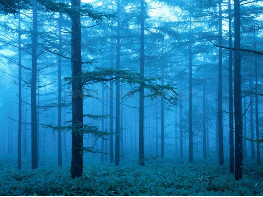 01三原色三间色.pptx_第1页