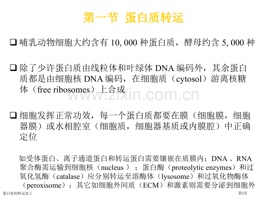 蛋白质的转运加工.pptx_第2页