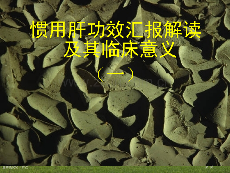 肝功能化验单解读.pptx_第1页