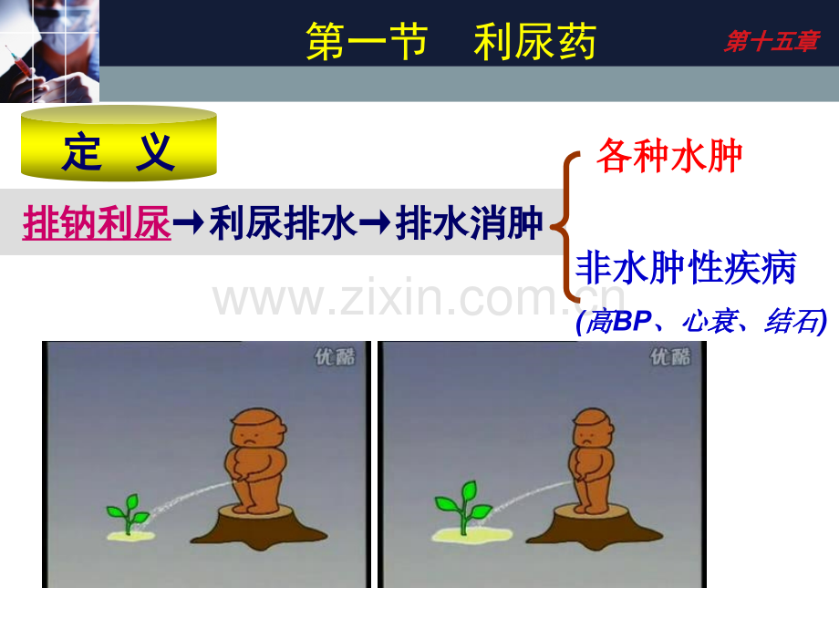 24利尿药和脱水药总结.pptx_第2页