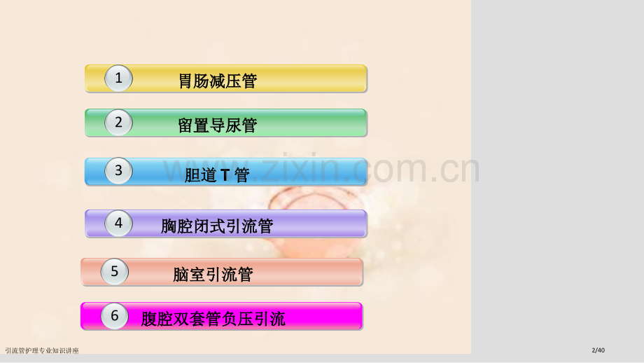 引流管护理专业知识讲座.pptx_第2页
