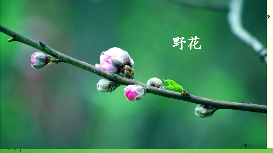 找春天示范课市公开课金奖市赛课一等奖课件.pptx_第2页