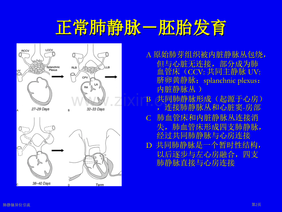 肺静脉异位引流专家讲座.pptx_第2页