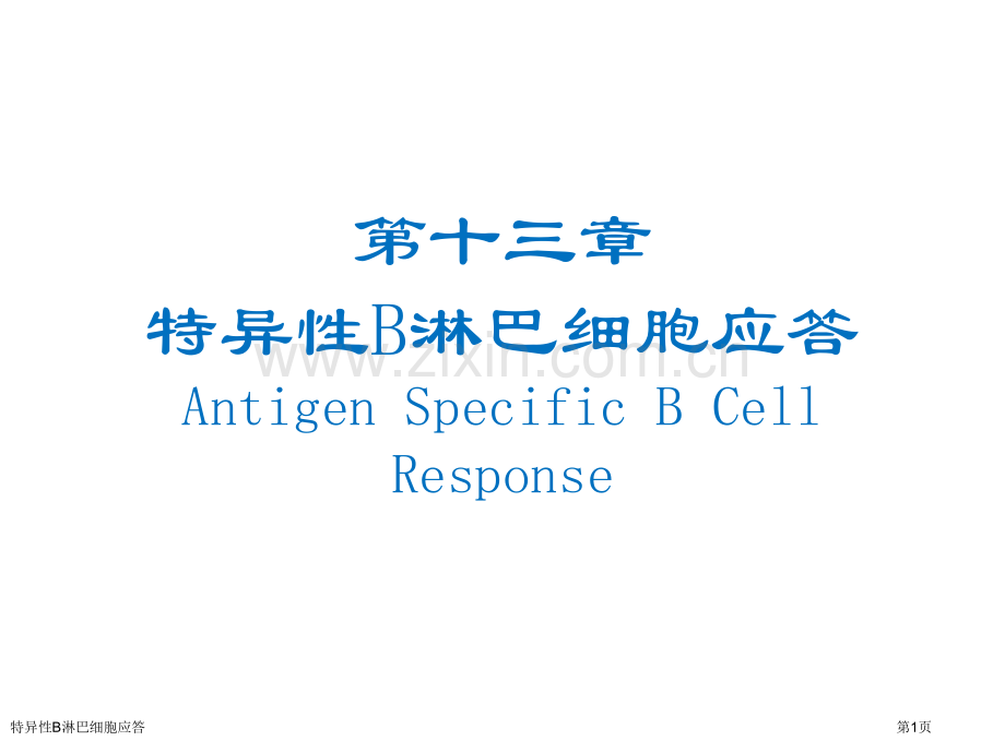 特异性B淋巴细胞应答专家讲座.pptx_第1页