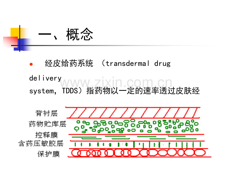 13皮肤递药制剂.pptx_第2页