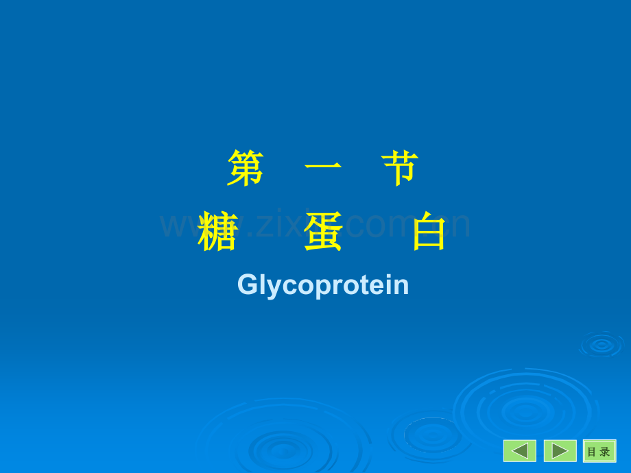 17-糖蛋白蛋白聚糖和细胞外基质.pptx_第2页
