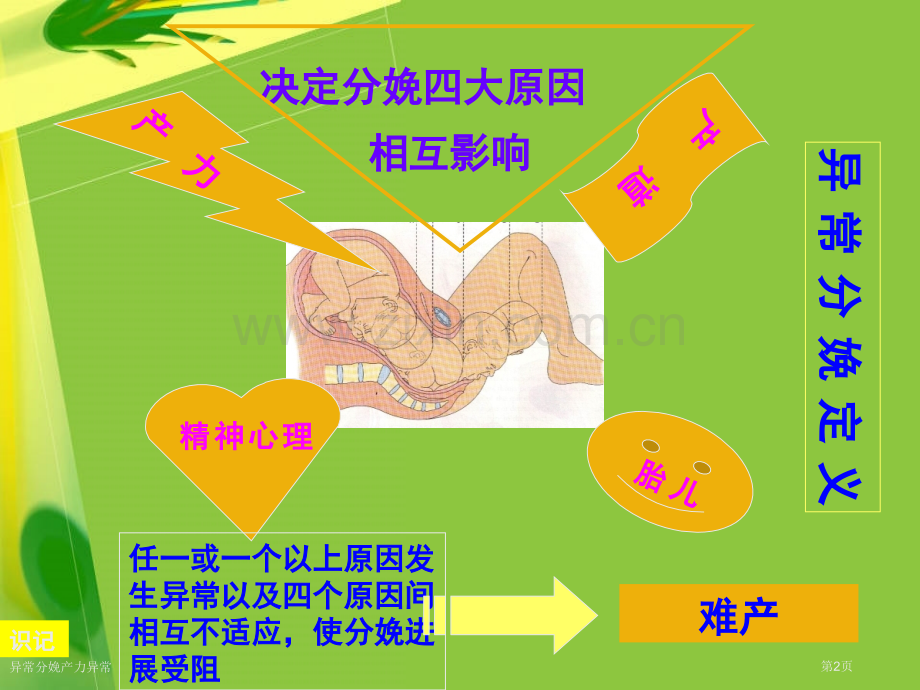 异常分娩产力异常专家讲座.pptx_第2页
