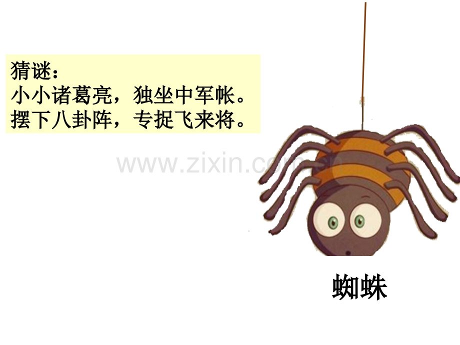 20蜘蛛开店公开课.pptx_第1页