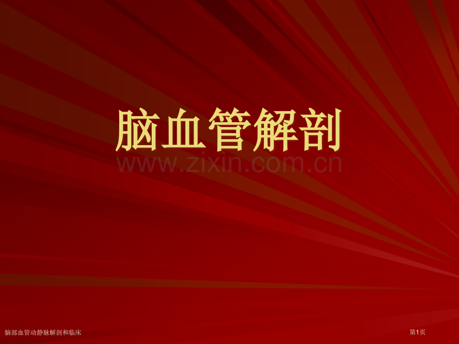 脑部血管动静脉解剖和临床专家讲座.pptx_第1页