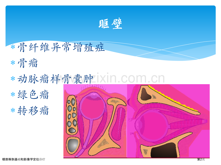 眼部解剖基础和影像学定位诊疗专家讲座.pptx_第2页