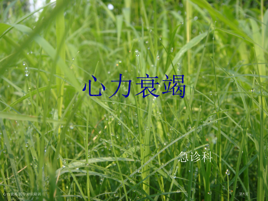 心力衰竭.医学知识培训专家讲座.pptx_第1页