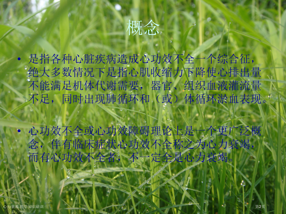 心力衰竭.医学知识培训专家讲座.pptx_第2页
