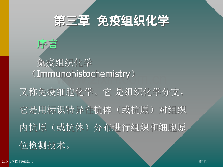 组织化学技术免疫组化专家讲座.pptx_第1页