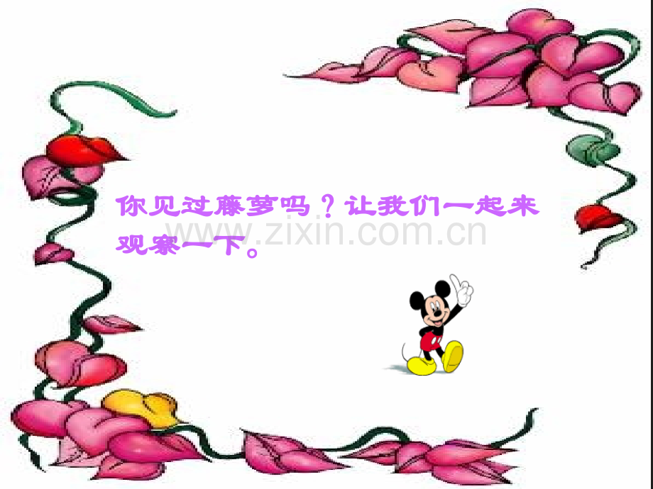 16紫藤萝瀑布思路清晰可操作性强几易其稿下了有福.pptx_第1页