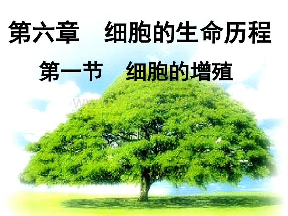 61细胞的增殖好动画.pptx_第1页