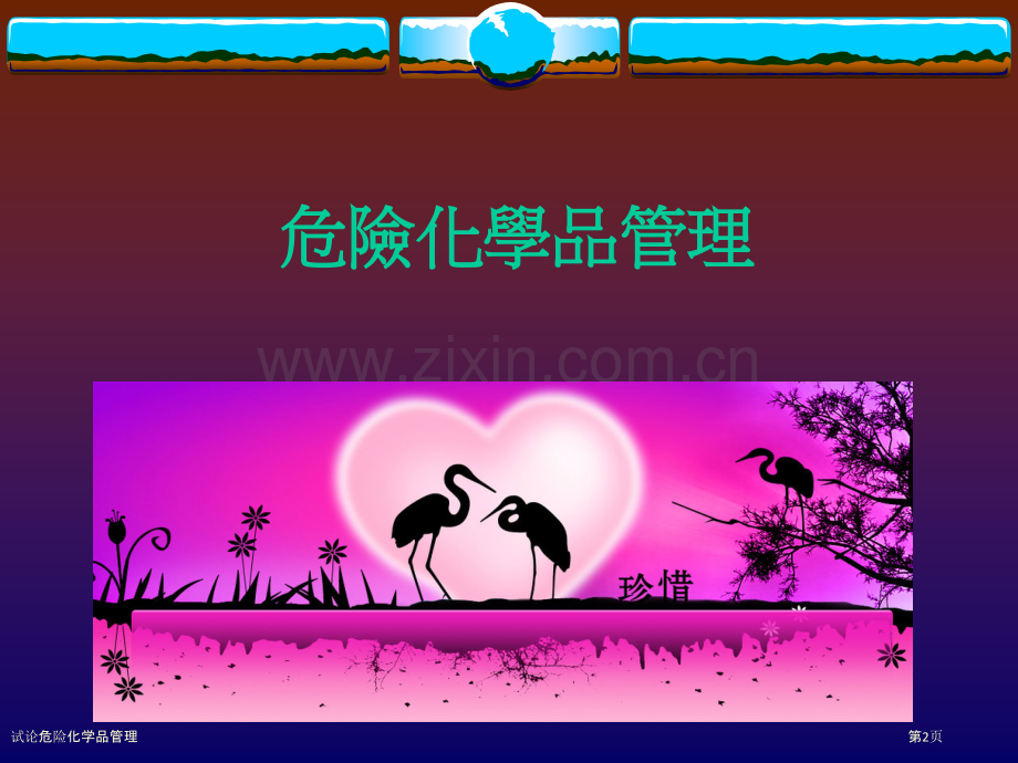 试论危险化学品管理.pptx_第2页