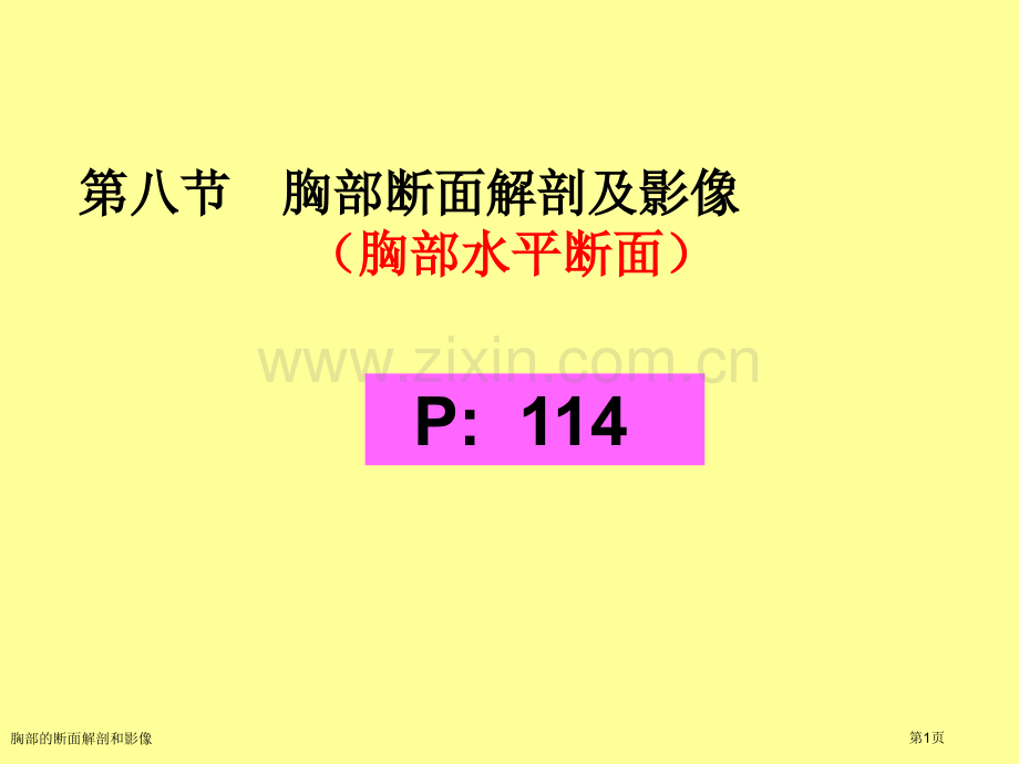 胸部的断面解剖和影像专家讲座.pptx_第1页