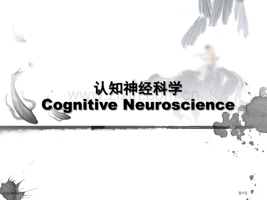 认知神经科学.pptx_第1页