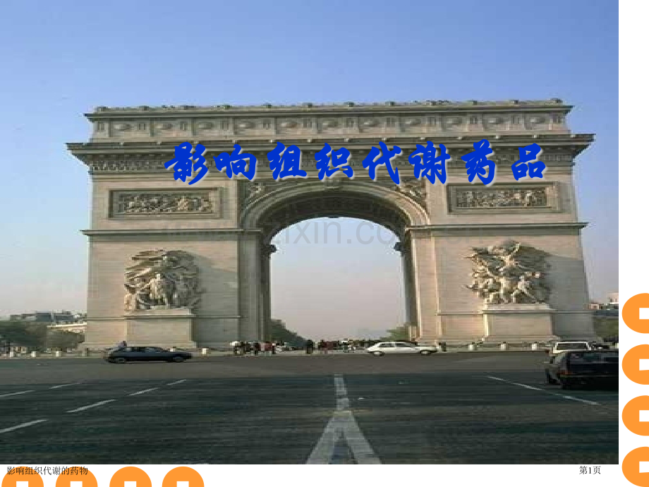 影响组织代谢的药物专家讲座.pptx_第1页