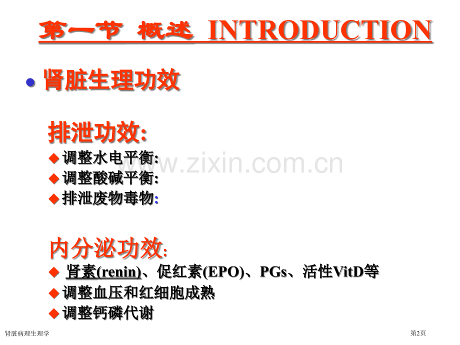 肾脏病理生理学专家讲座.pptx_第2页
